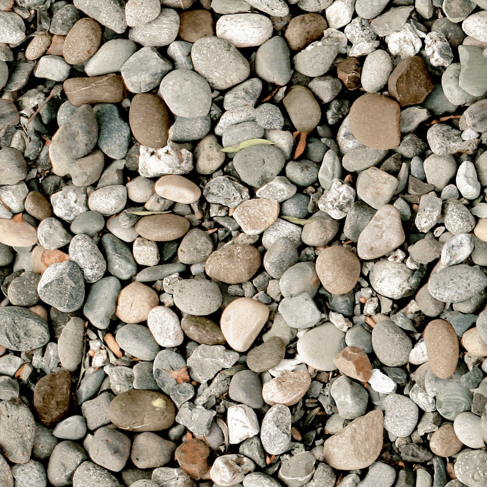 FT 40X40 MOONSTONE BROWN KW1 KIA-IMP